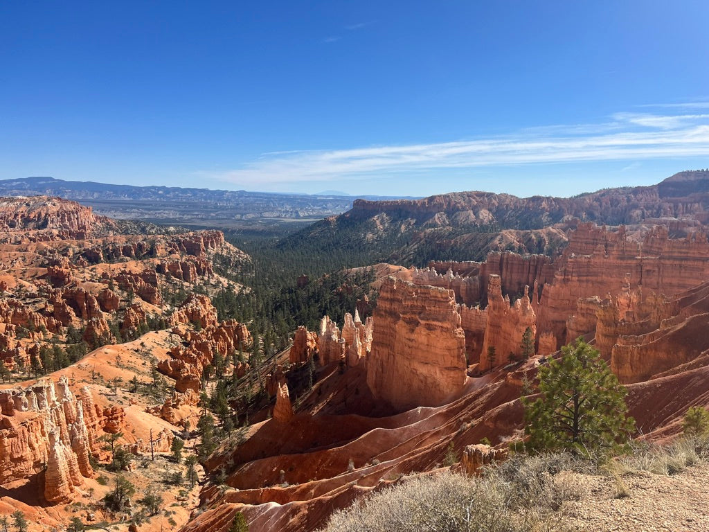 Bryce Canyon Hoodoos Mini Block Print